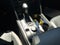 2023 Volkswagen Atlas Cross Sport 3.6L V6 SEL Premium R-Line